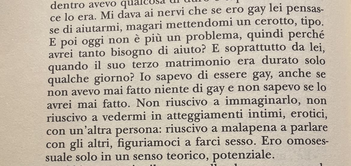 Omosessuale in senso teorico mi piace come espressione 