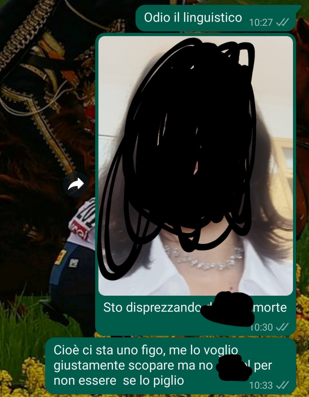 Odio il linguistico