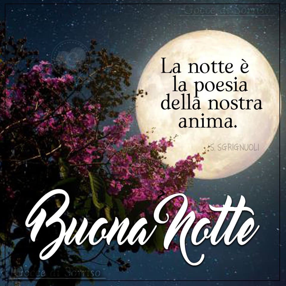 Buonanotte amici di insegreto 