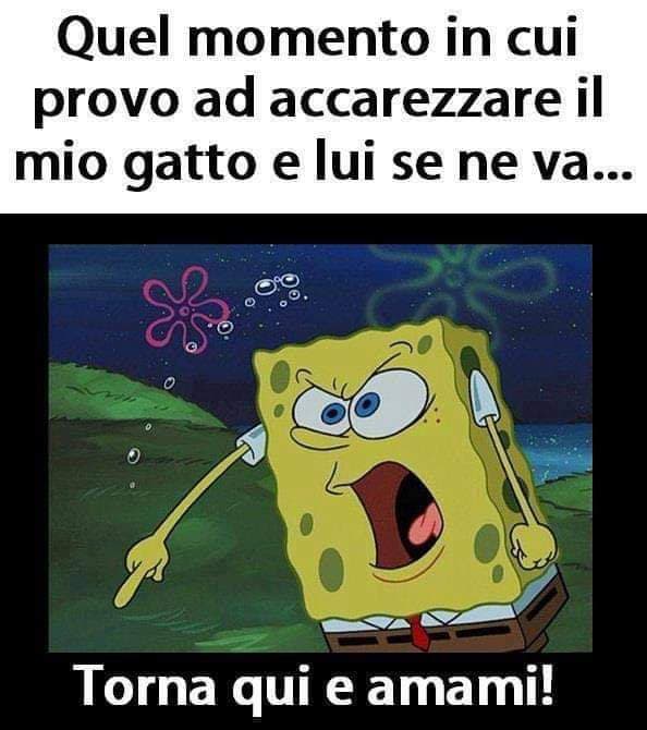 Troppo vero ahaha