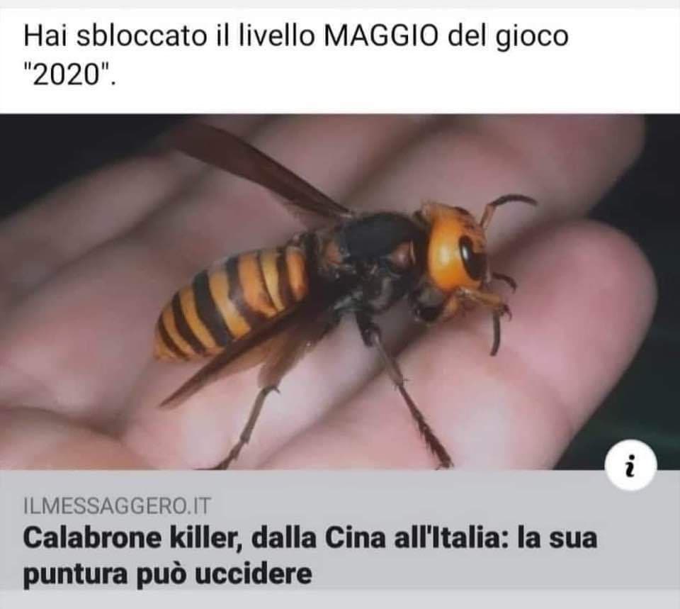 So che forse è una cazzata, ma mi faceva ridere