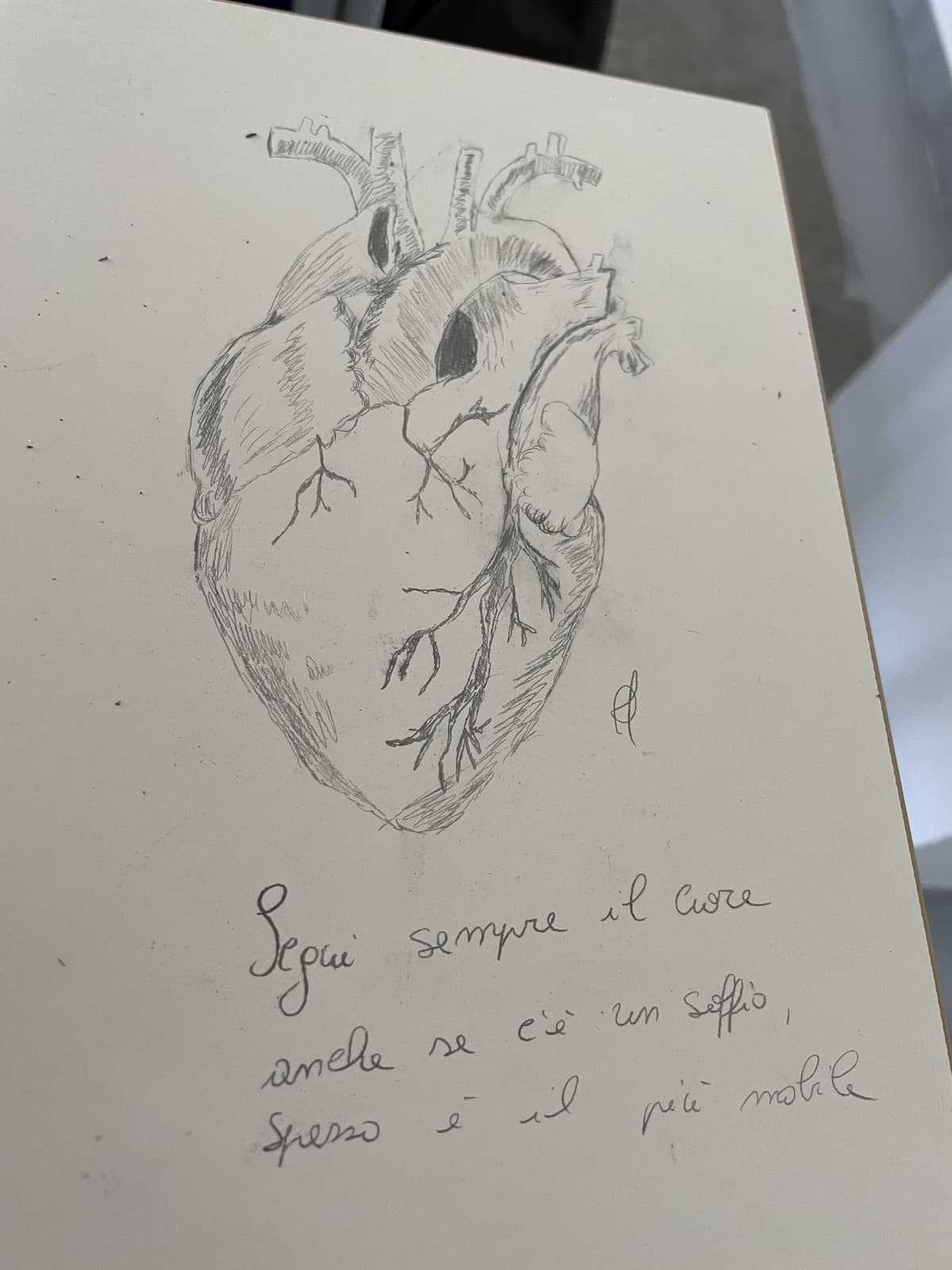 Quando il ragazzo che ti piace ti vede disegnare sul banco e ti chiede di fare lo stesso disegno sul banco suo,allora tu subito dici di si è scrivi pure la dedica: