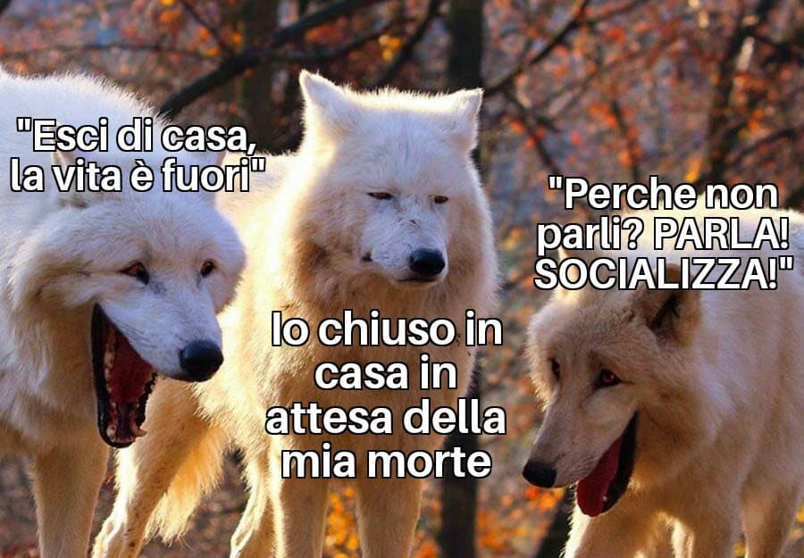 Io non so più che fare?