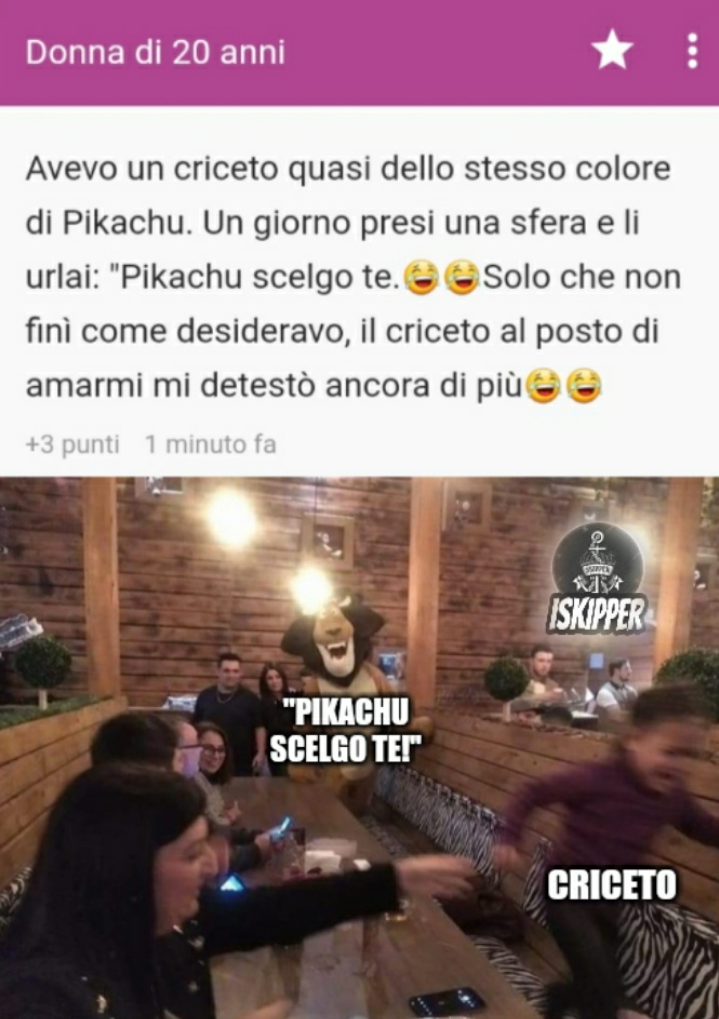 Povero criceto