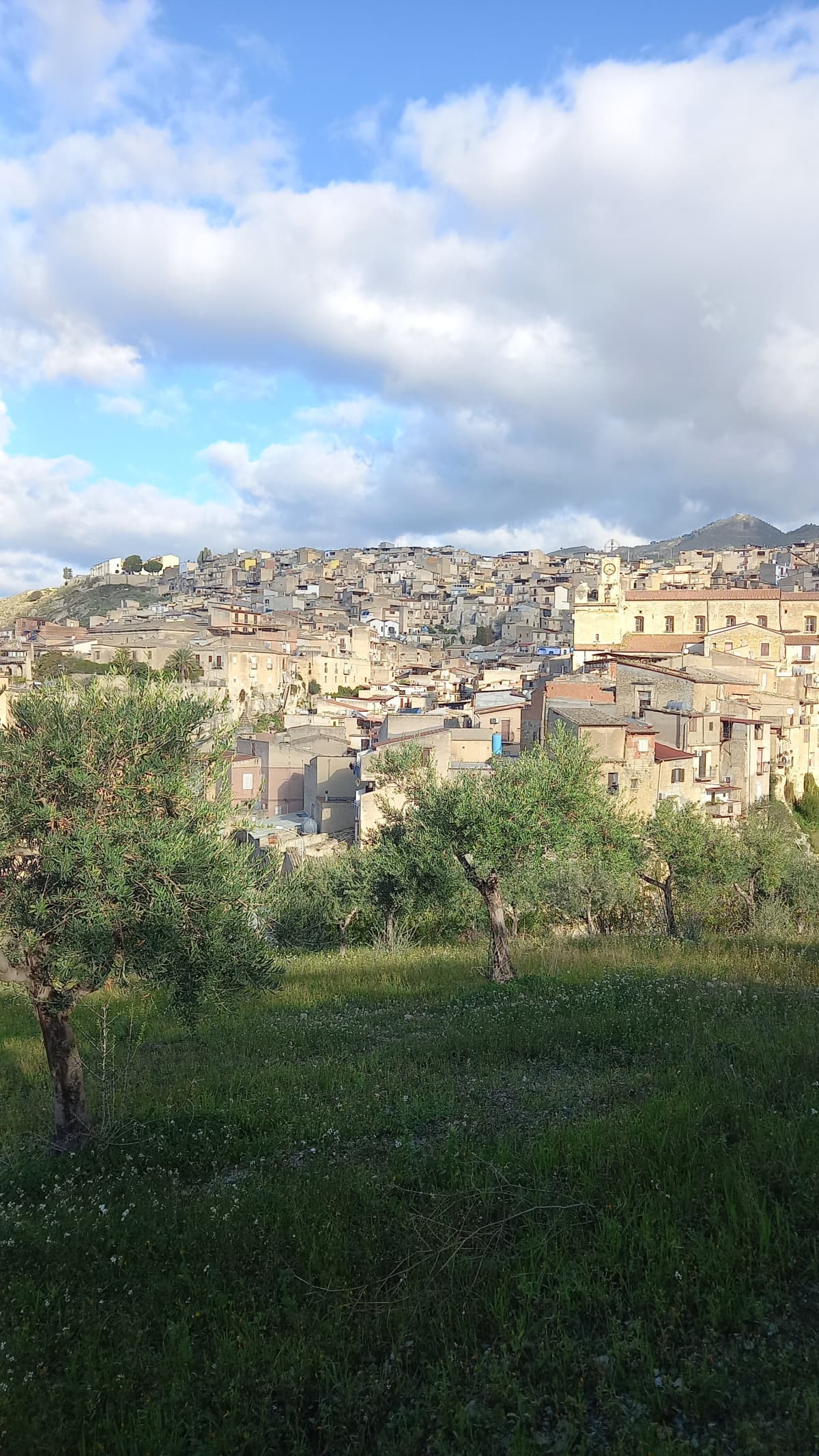 C'è troppo silenzio sta mattina 