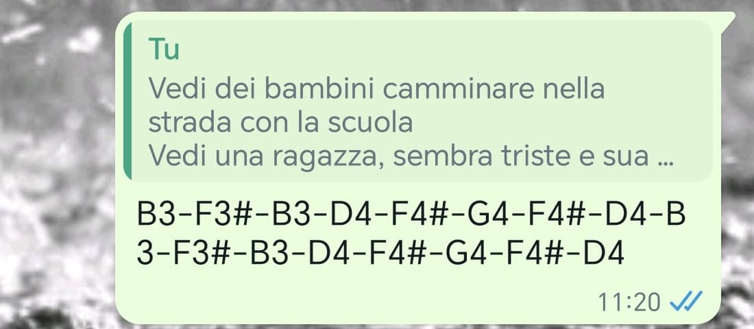 Un musicista serio credo mi picchierebbe: annoto le note come si annotano gli scacchi 