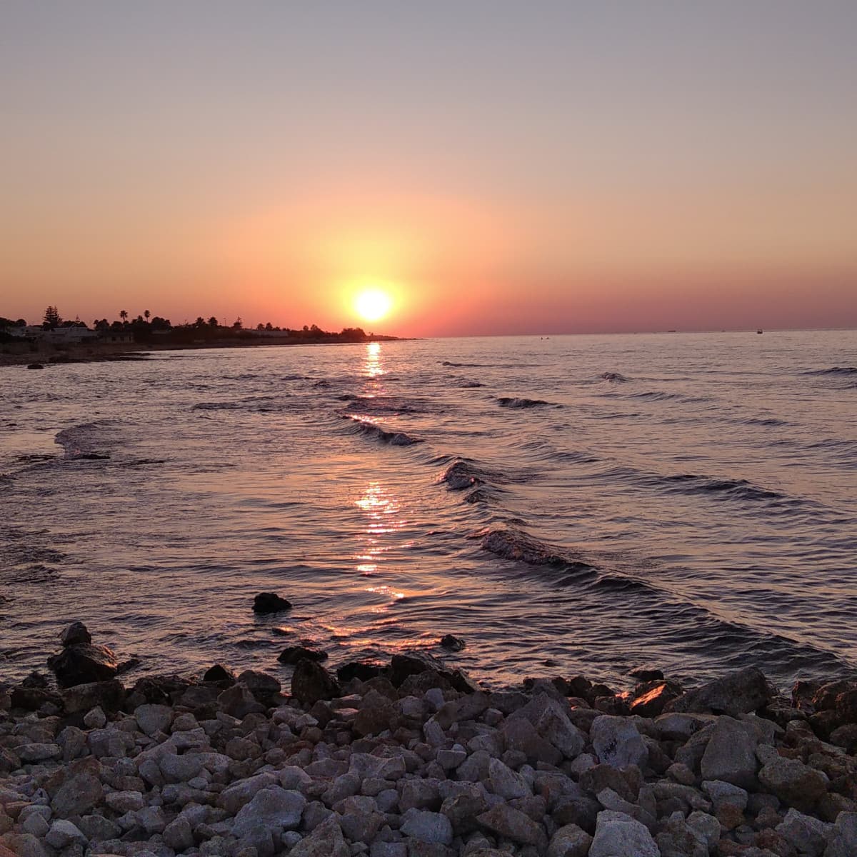 stasera la passeggiata da solo ha hittato forte