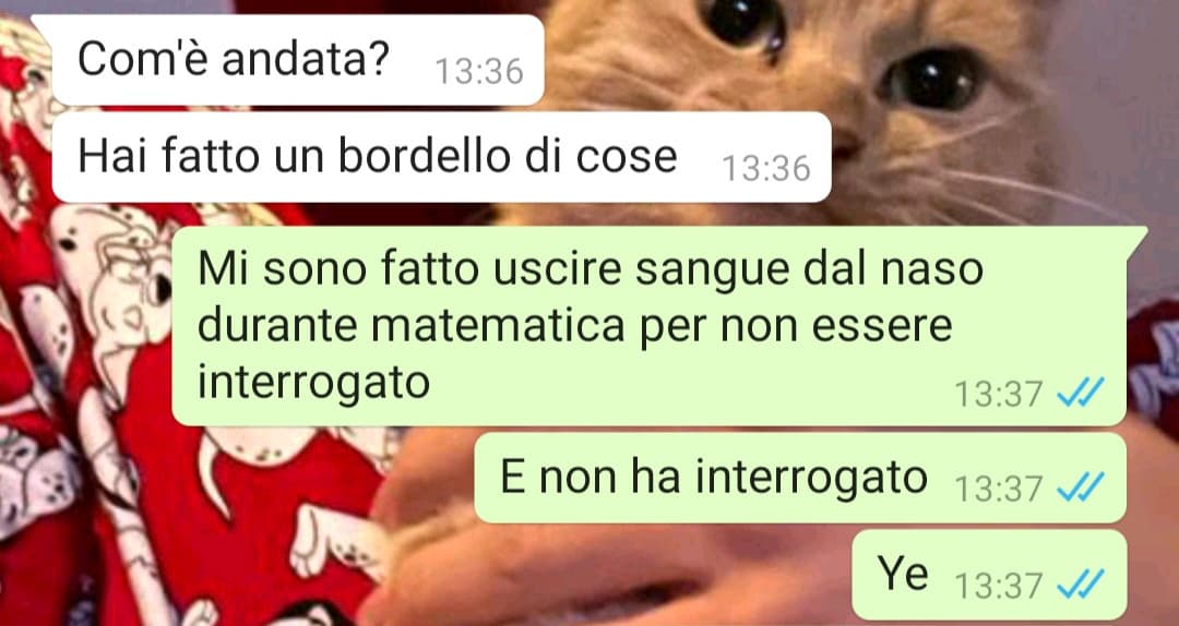 Riepilogo della mattinata: