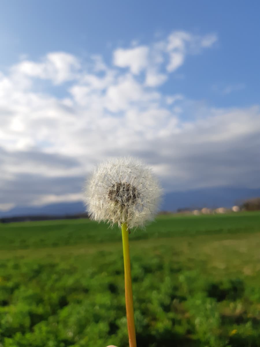 Le emozioni della quarantena ??