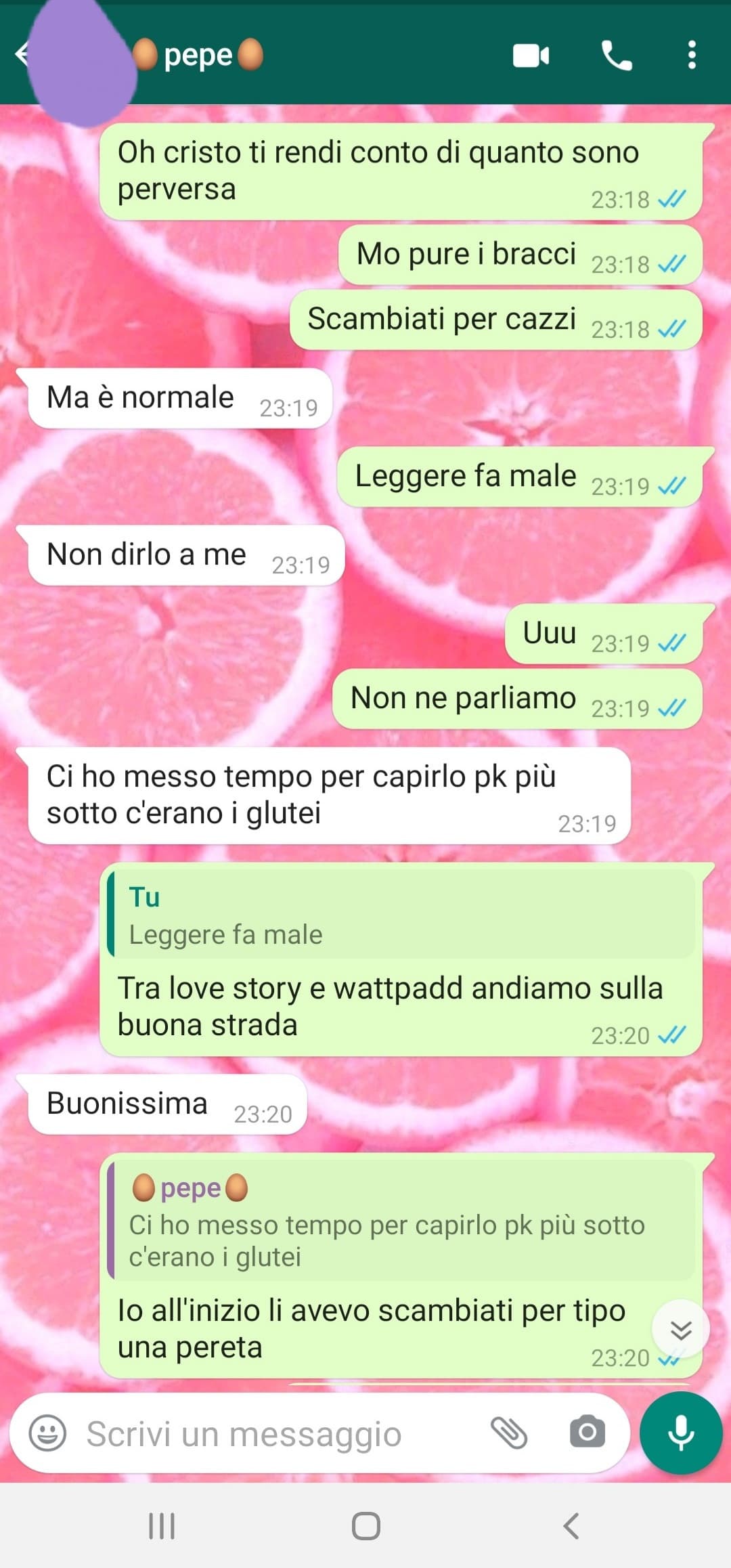 Questa chat è così brutta che potrebbe diventare carina