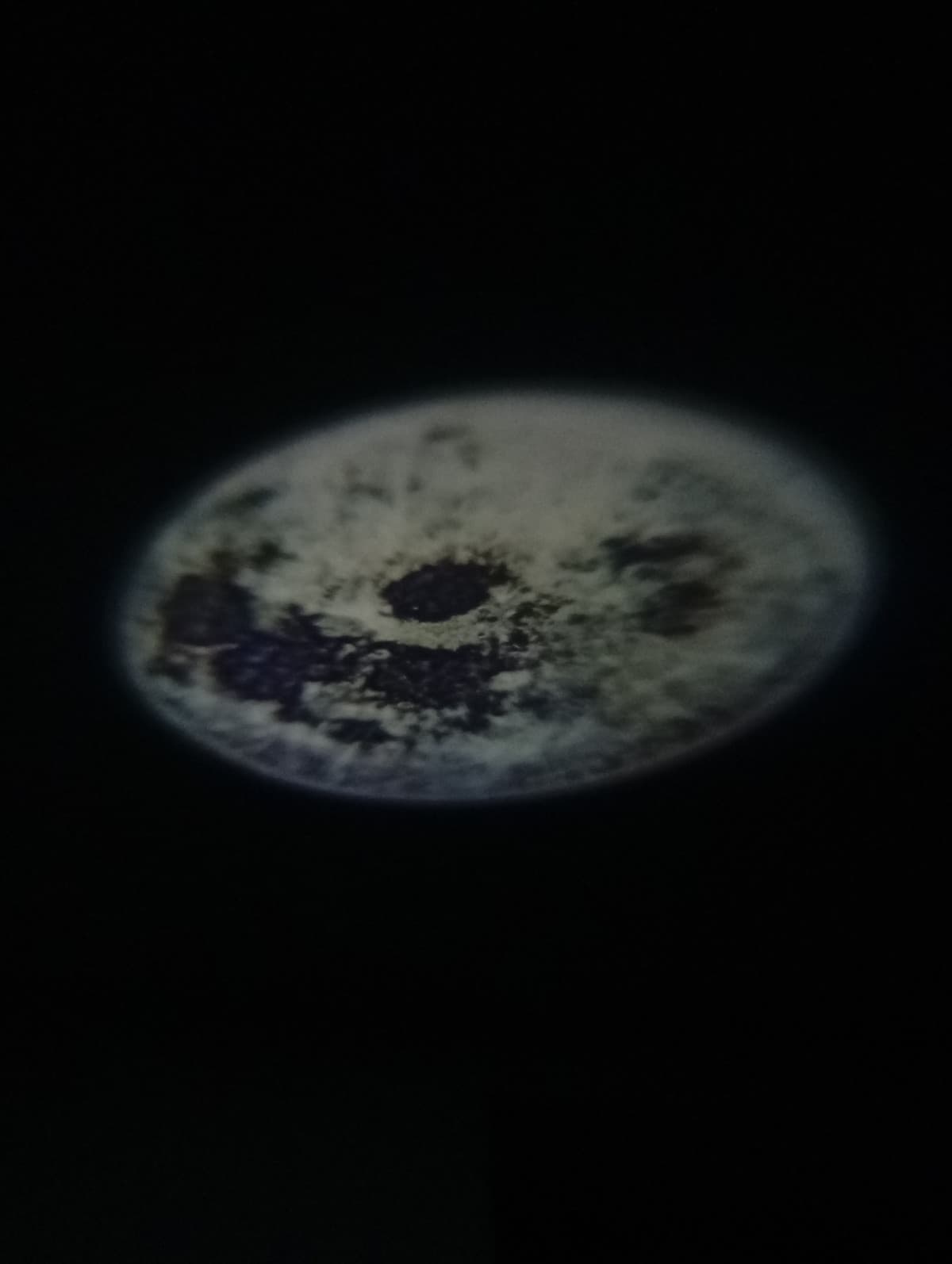 🌕