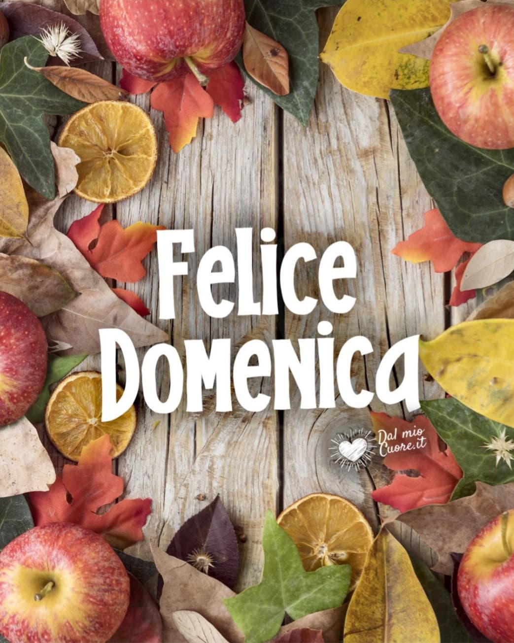 felice domenica amiciui ~