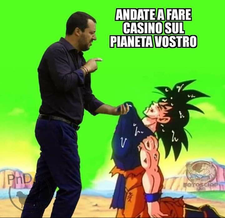 SALVINI E DRAGON BALL