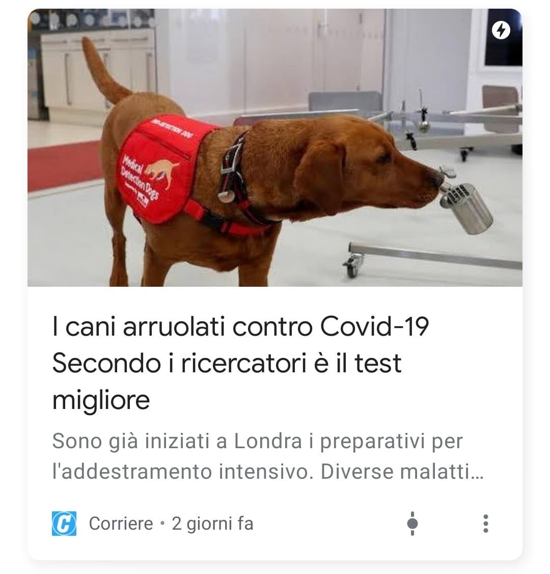 Il test funziona cosi: se il cane muore subito dopo di te vuol dire che avevi il virus 