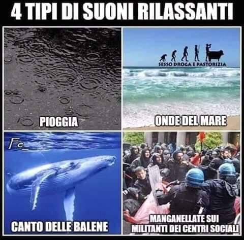 Spero che non si estingueranno mai.