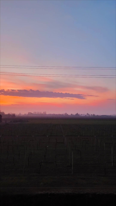 Non riuscirei a vivere in città nemmeno se mi pagassero,con questa vista e il canto dei pavoni sto una meraviglia💚