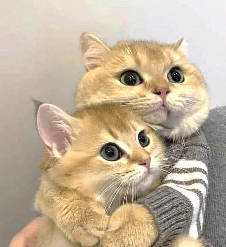 io con voi perchè siete i miei bambini e vi amo tanto