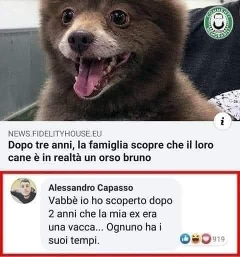 Lol