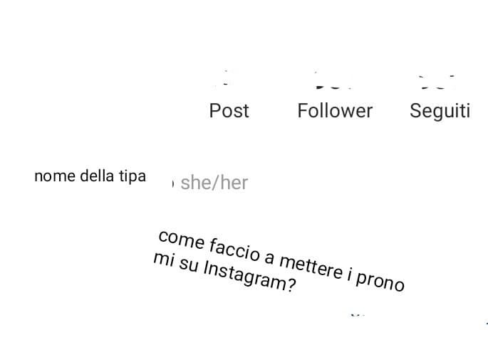 Come faccio a mettere i pronomi su Instagram come la ragazza della fot0?