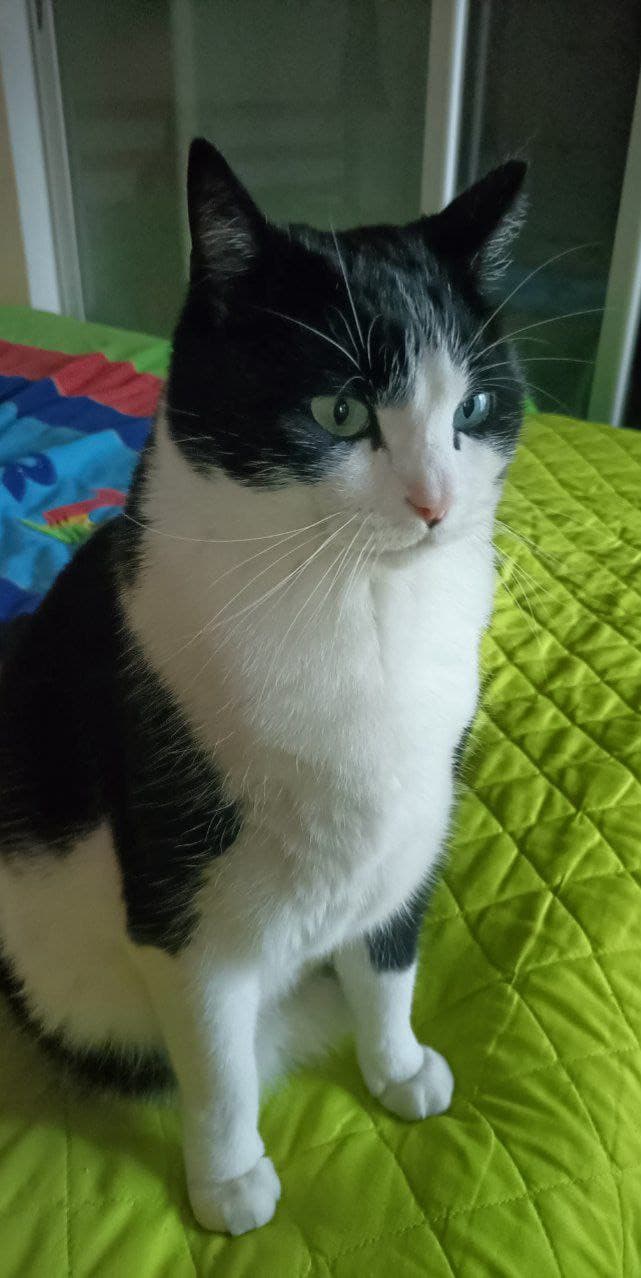 il bro si è svegliato dopo 70 ore di sonno e non capisce dove si trova 