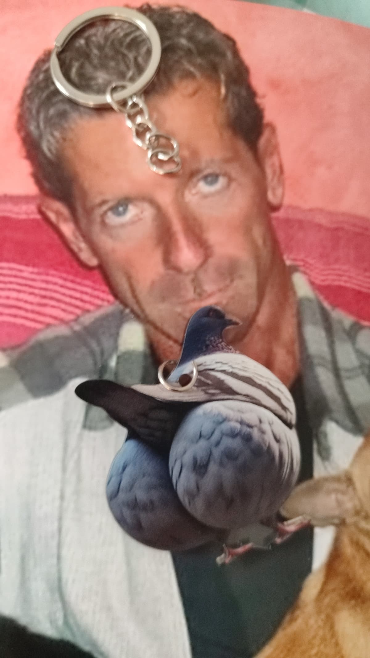 Era arrivato rotto ( non fate caso a bosseetti)