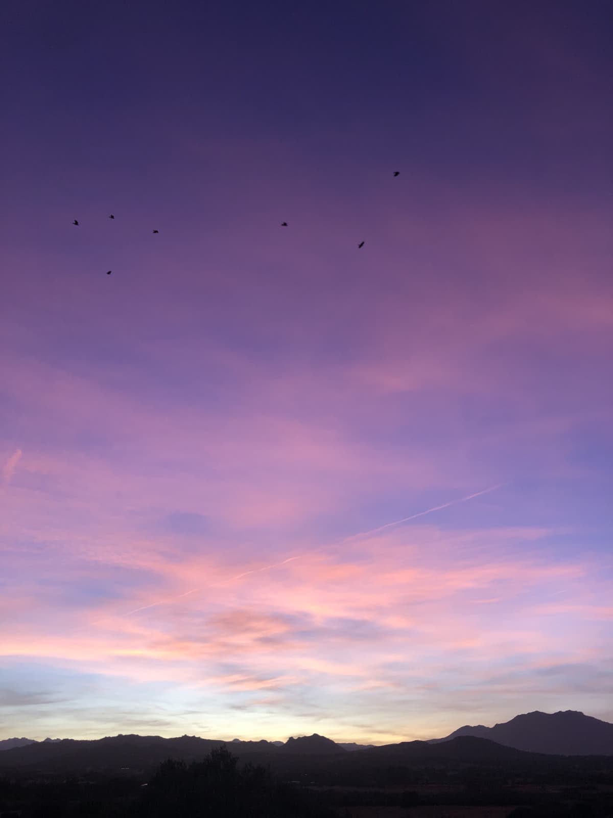 Ecco il tramonto di oggi 🫠