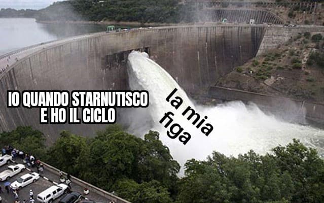 Porcospino