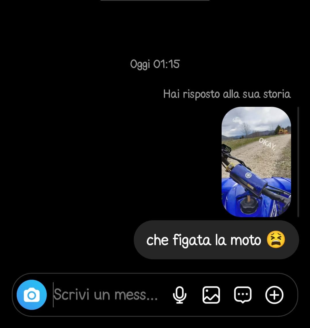 secondo voi si vede che è per rimorchiare?