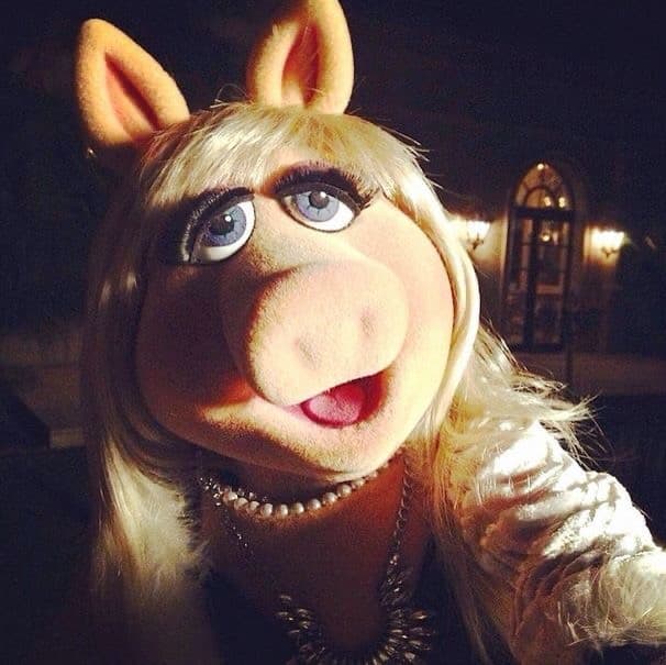 Giorno 3 che cerco fan dei Muppet 