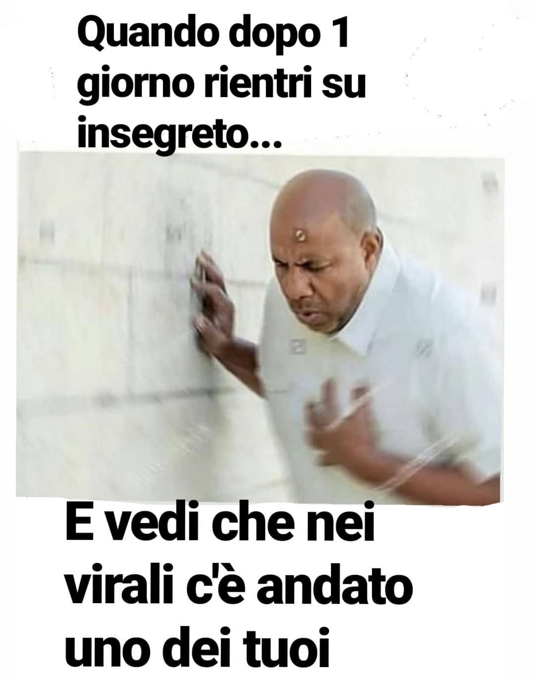 "vi prego ditemi che non è un sogno" hahah ?