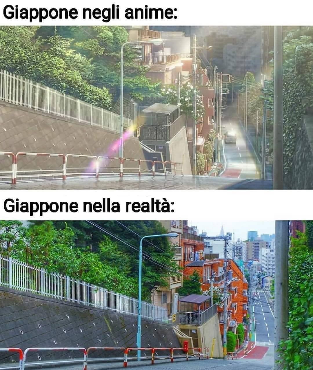 Non fa una piega