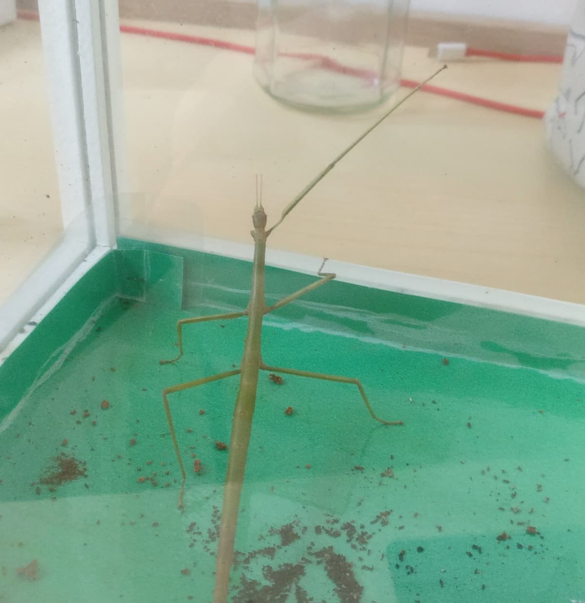 Ho riaperto questo sito e mi sembra di conoscere troppe cose, ma non ho confermato nulla