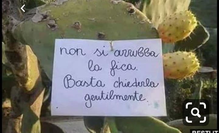 Se l'avessi saputo prima....