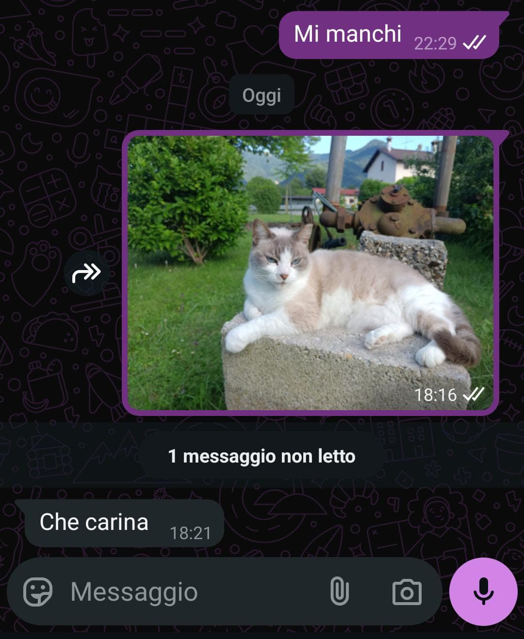Cioè