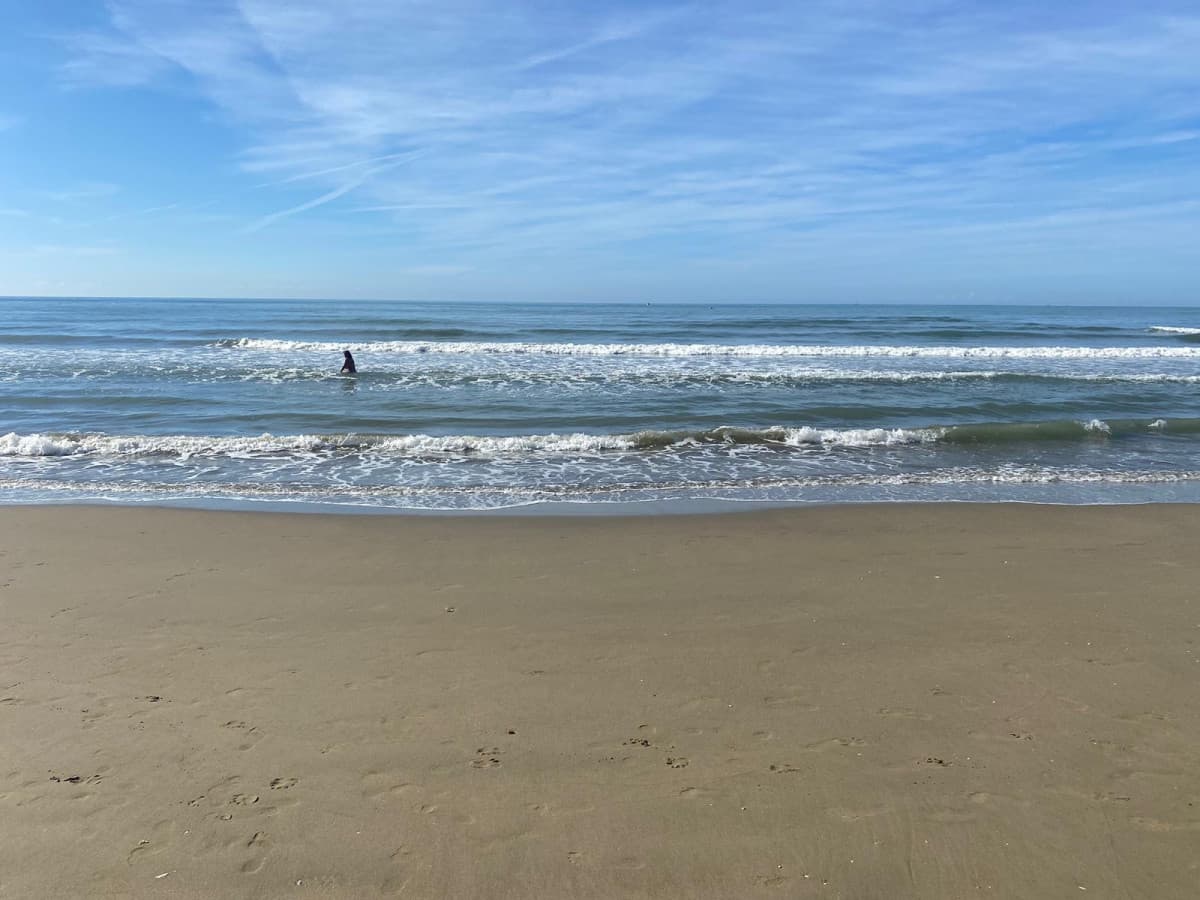 PROBLEMI AL MARE 