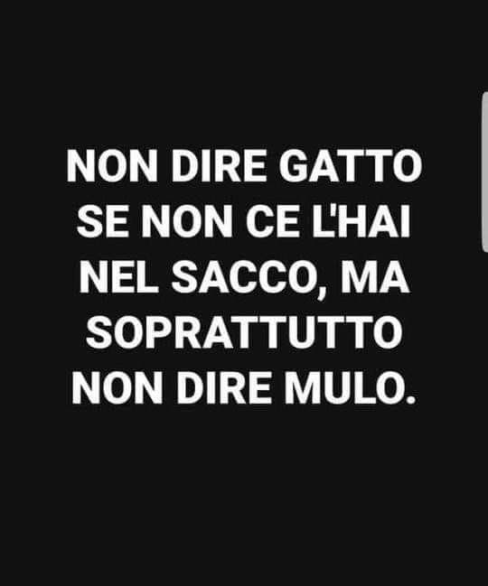 Non dite mulo...