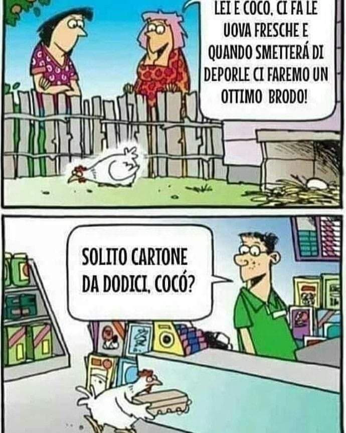 L'uovo al brodo  cit.