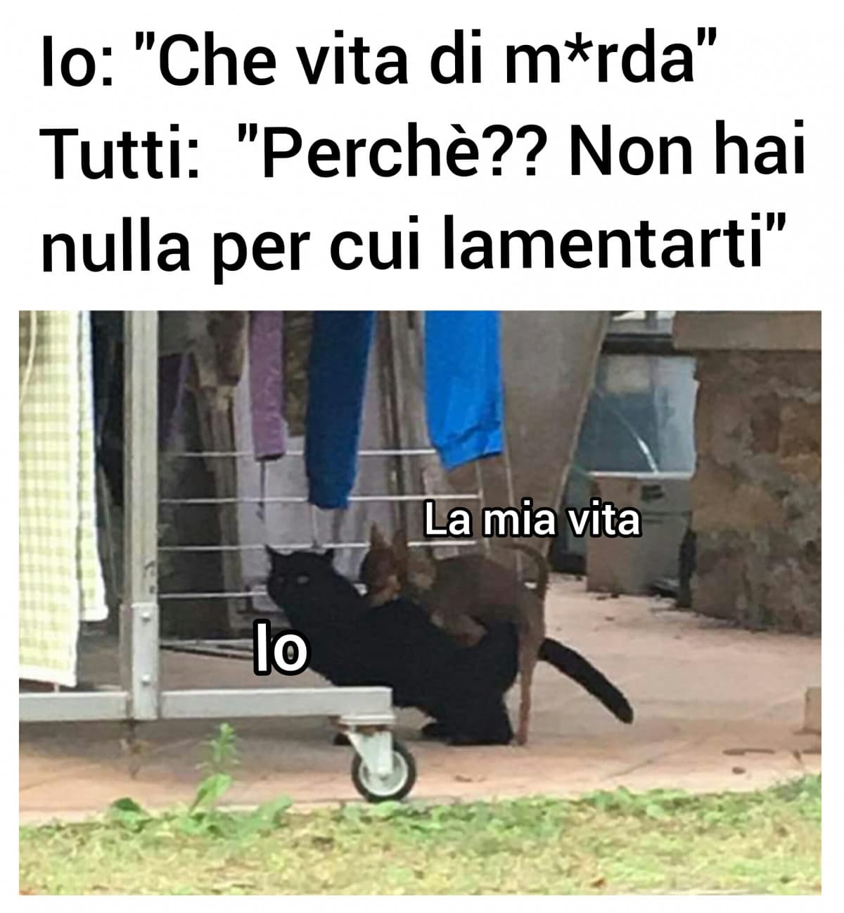 Altro meme che mi è venuto in mente