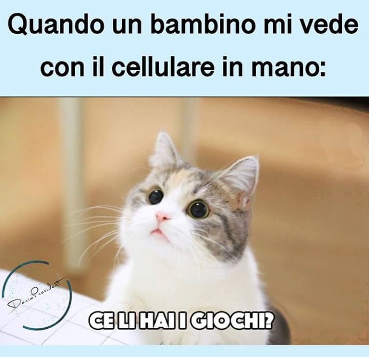 E io tipo molto dispiaciuta: no.