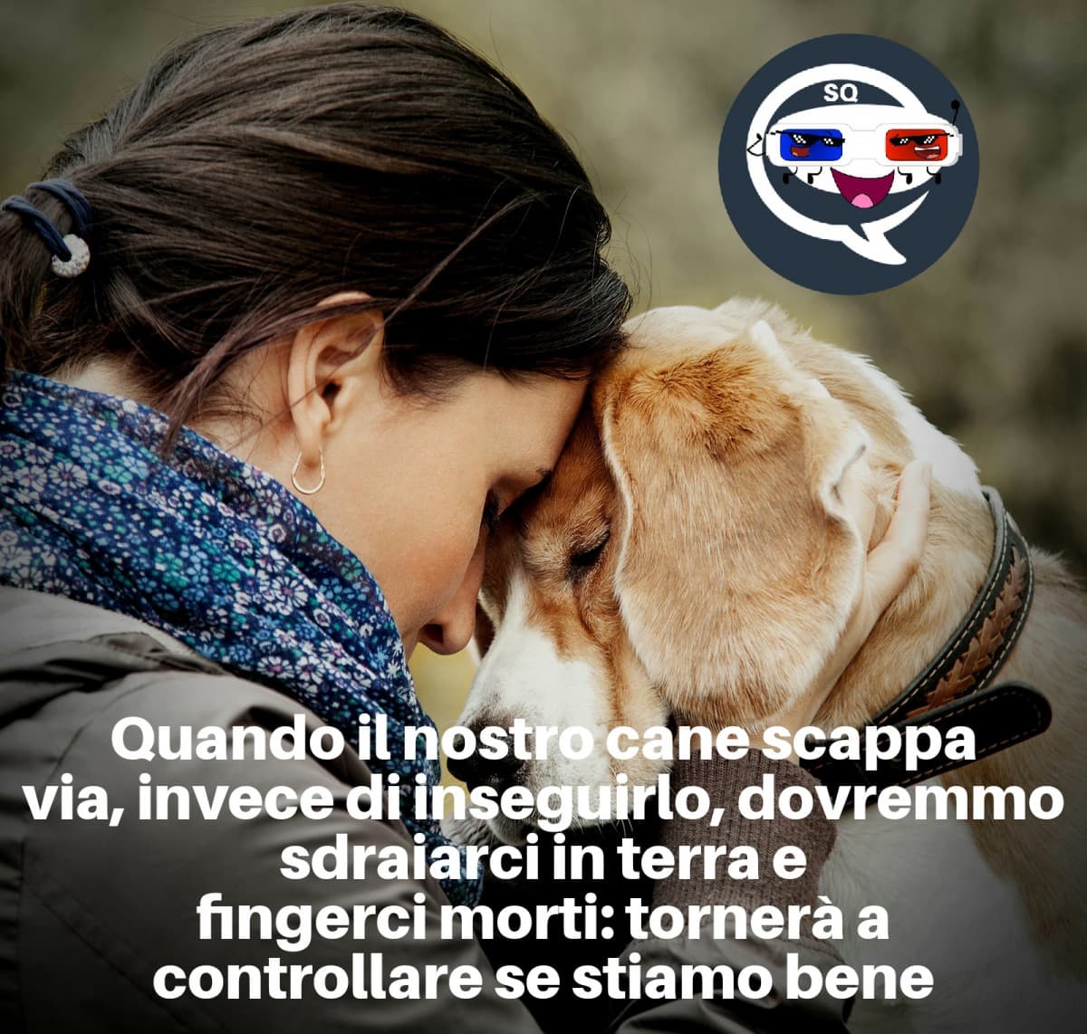 Il mio cane conferma 