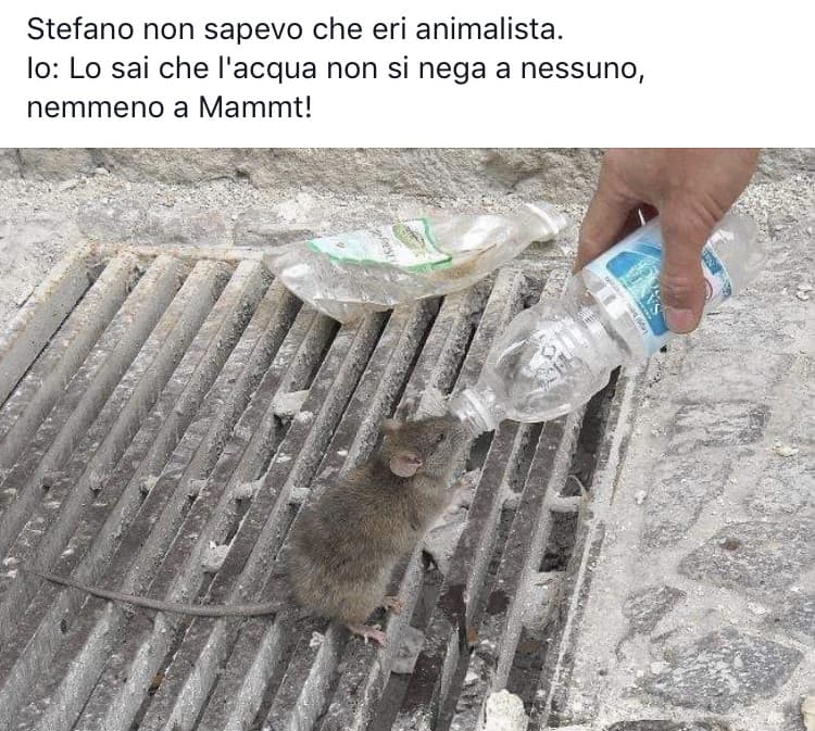 ??????