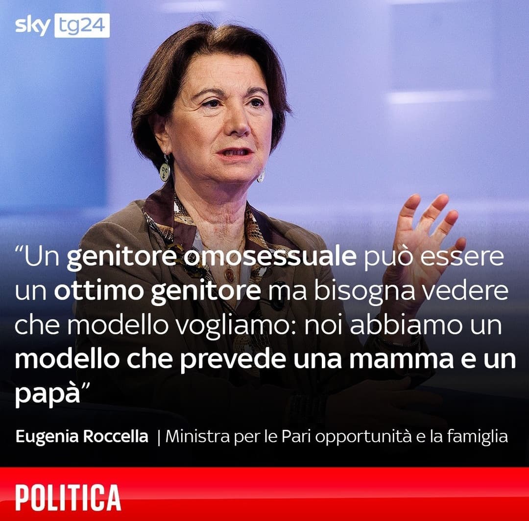 Quindi chissene se due uomini o due donne sono dei bravi genitori, l'importante è che siano una coppia etero, poi possono anche litigare tutto il tempo e fregarsene dei figli ma almeno sono una "famiglia tradizionale" 