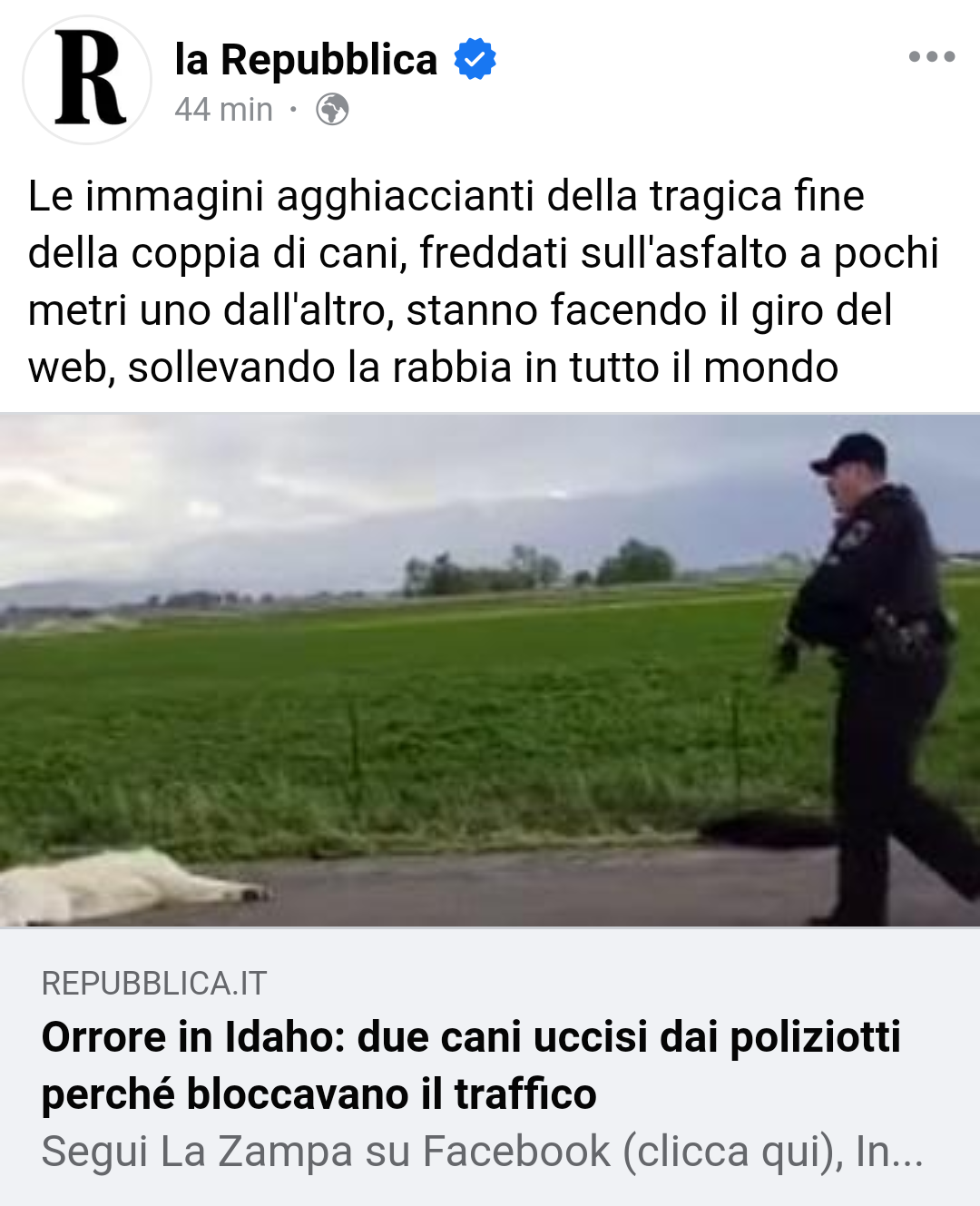 Sto cominciando a credere che non devo più avere timore di avere che fare con la polizia di un paese instabile