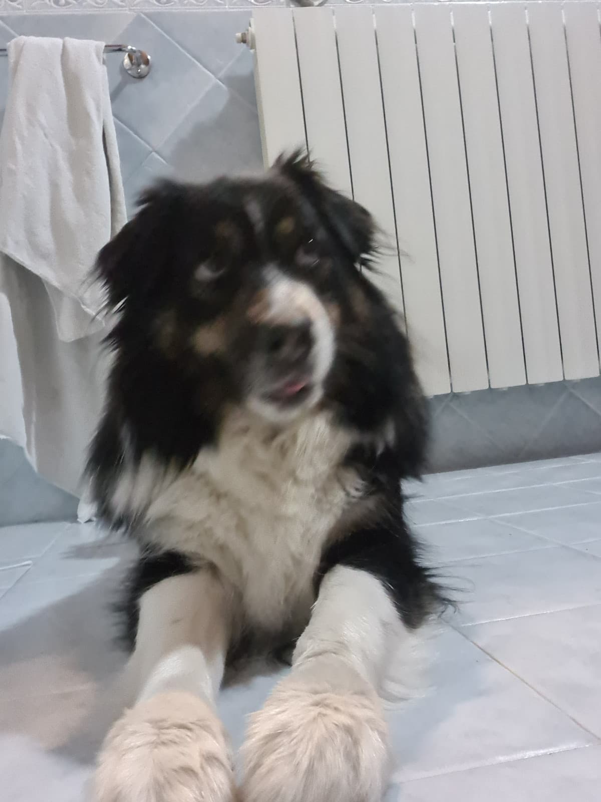 primo segreto da 16enne