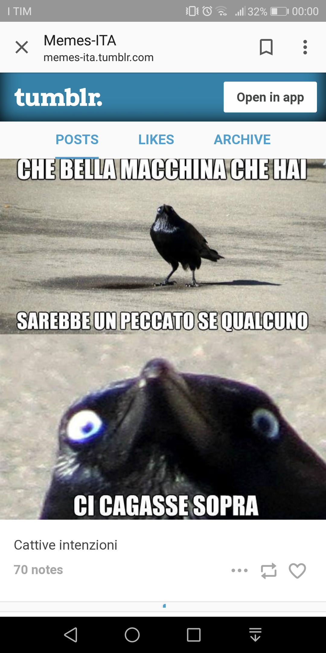 IL PICCIONE HA DECISO!!! 