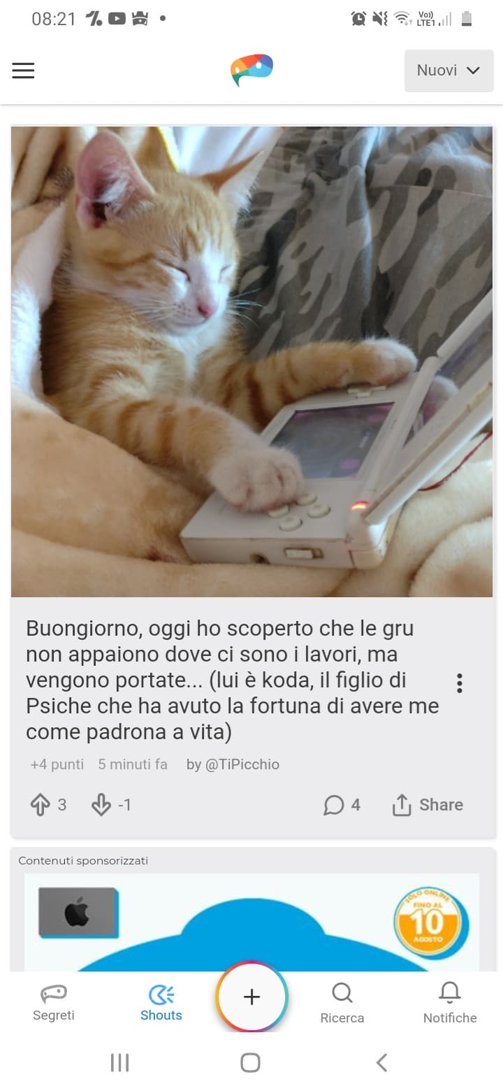 @TiPicchio Ti amano talmente tanto che manco il dislike ti mettono ?