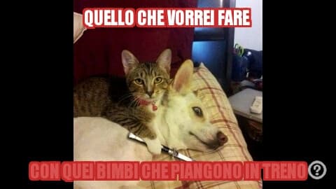 Quello che vorrei fare con i bimbi che piangono in treno