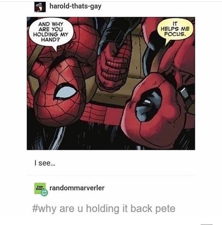 Voglio spideypool in no way home