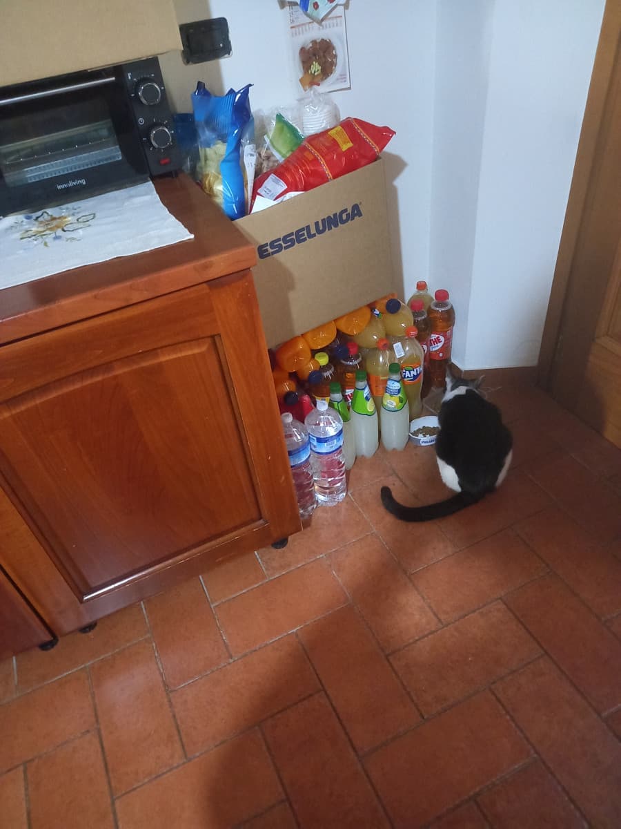 Mia sorella il 7 si sposa e fanno il "pranzo" a casa mia... e niente, mia madre ha svaligiato il reparto succhi del supermercato... 