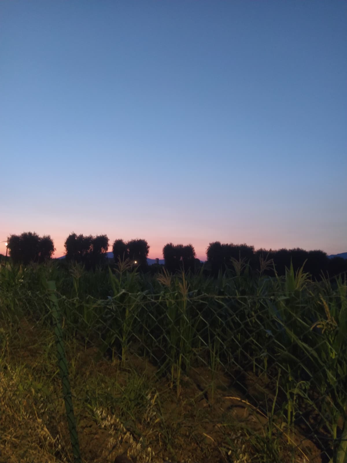 Sarò più attiva nei prossimi giorni